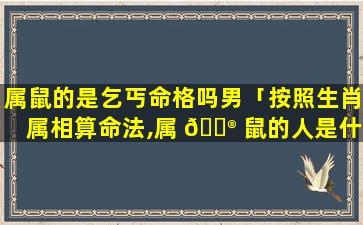 属鼠的是乞丐命格吗男「按照生肖属相算命法,属 💮 鼠的人是什 🐬 么命」